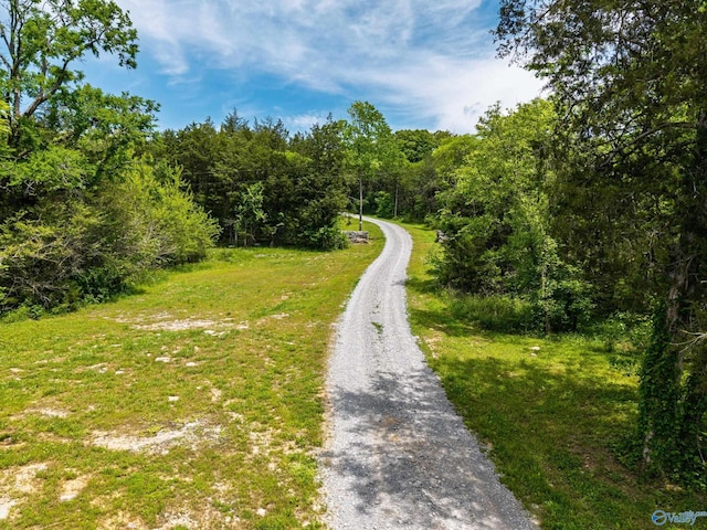 6.5ACRES Champ Rd, Kelso, TN 37348