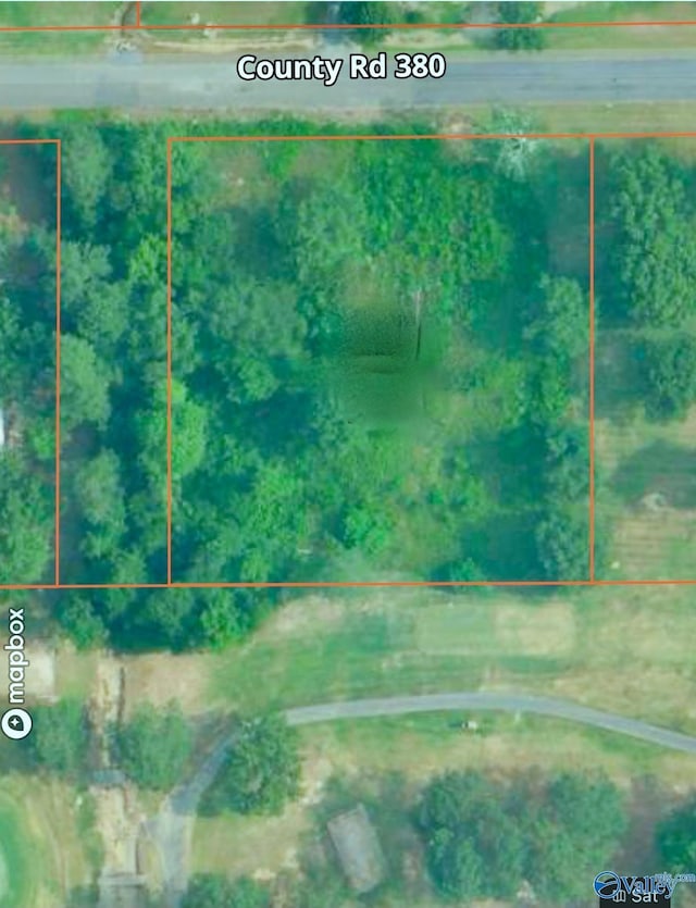 1425 County Road 380, Centre AL, 35960 land for sale