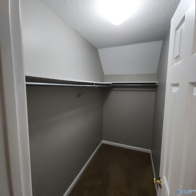 walk in closet featuring lofted ceiling