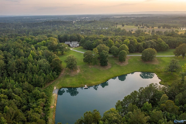 902 County Road 163, Centre, AL 35960 - aerial overview of property's location featuring a nearby body of water and a heavily wooded area