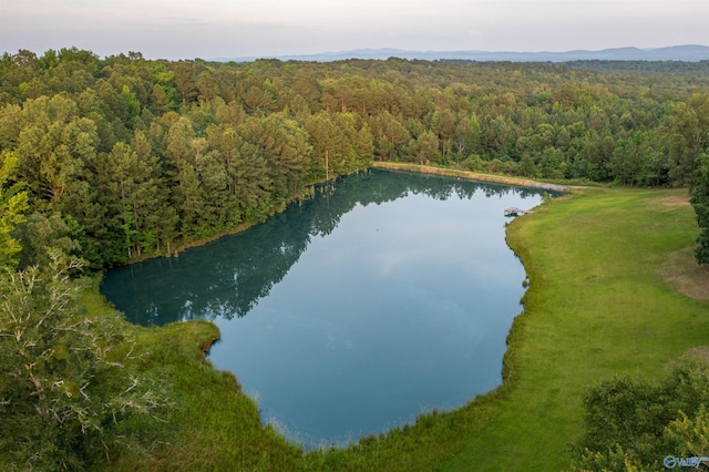 902 County Road 163, Centre, AL 35960 - bird's eye view of a large body of water