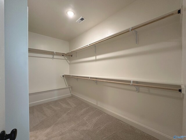 spacious closet featuring light colored carpet