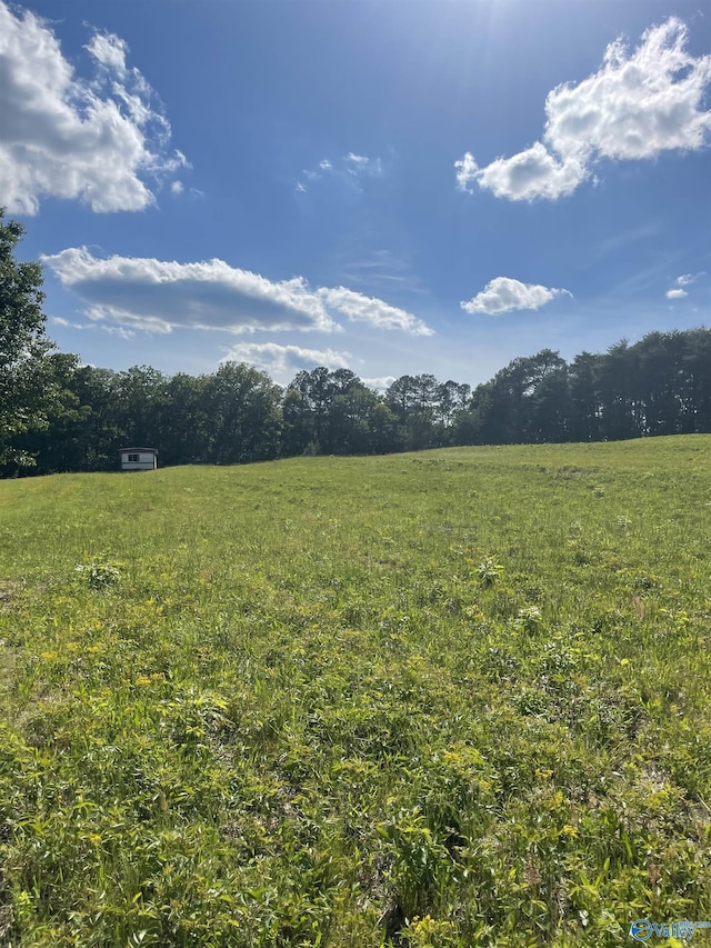 1779 County Rd, Collinsville, AL 35961