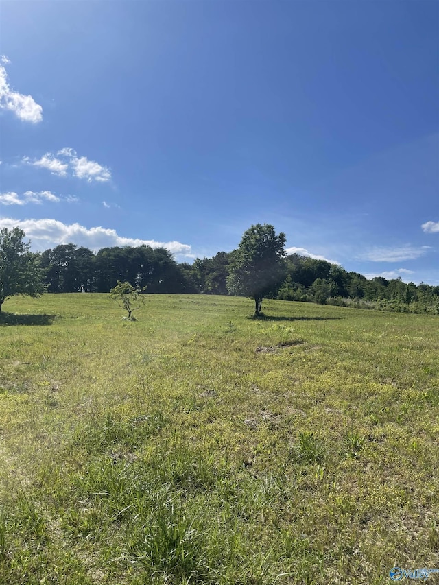 1779 County Rd, Collinsville, AL 35961
