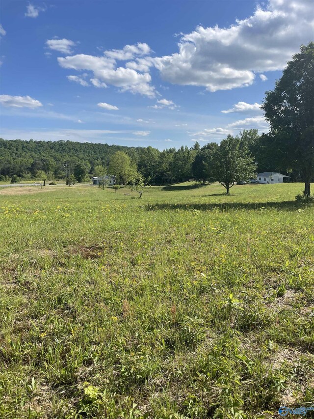 1779 County Rd, Collinsville, AL 35961
