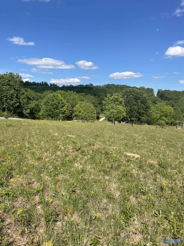 1779 County Rd, Collinsville, AL 35961