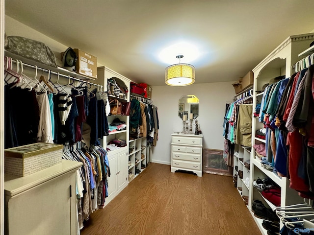 walk in closet with dark hardwood / wood-style flooring