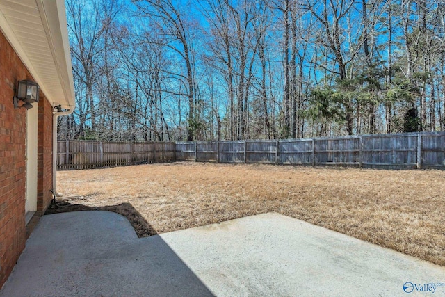 view of yard with a patio area and a fenced backyard