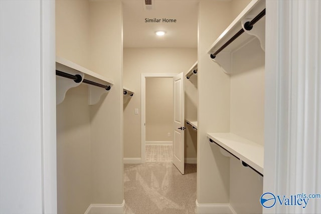 spacious closet with light carpet