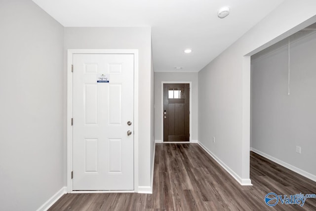 entrance foyer with dark wood-type flooring