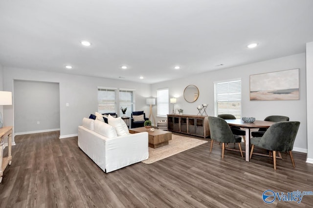 living room featuring dark wood-type flooring