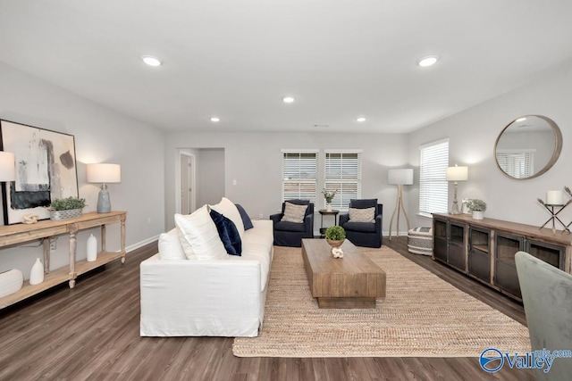 living room featuring dark wood-type flooring