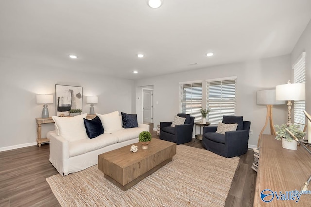 living room with dark hardwood / wood-style floors