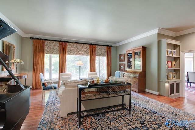 living room featuring ornamental molding and light hardwood / wood-style flooring