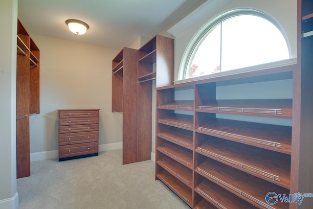 2833 High Mountain Rd NE, Huntsville, AL 35811 - walk in closet with carpet