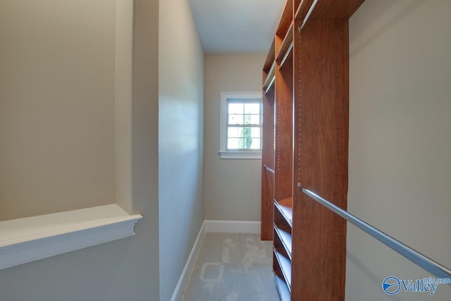 2833 High Mountain Rd NE, Huntsville, AL 35811 - walk in closet with carpet