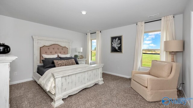 403 Jackson Point Cir, Huntsville, AL 35811 - bedroom with carpet flooring
