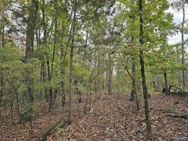 19 Winter Walk Way, Huntsville, AL 35811