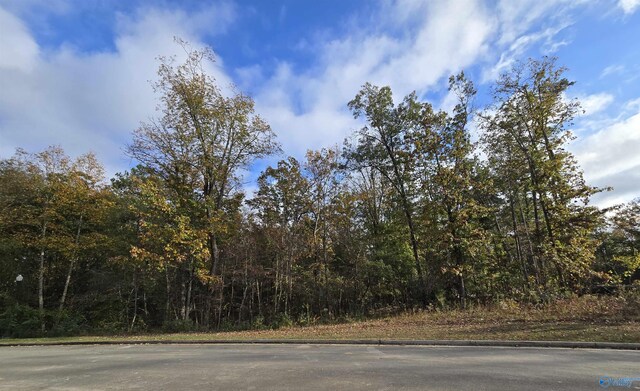19 Winter Walk Way, Huntsville, AL 35811