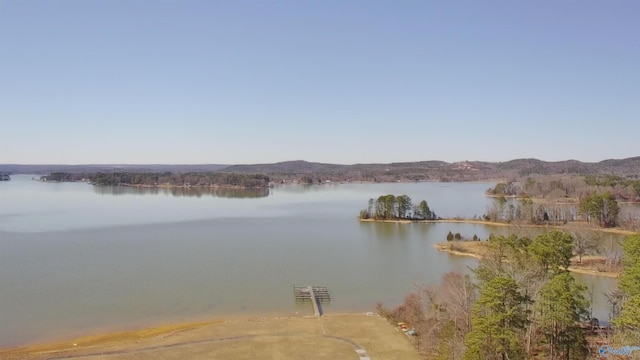 property view of water featuring a mountain view