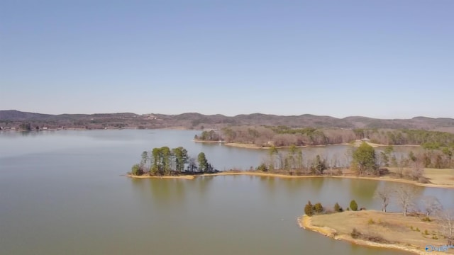 water view featuring a mountain view