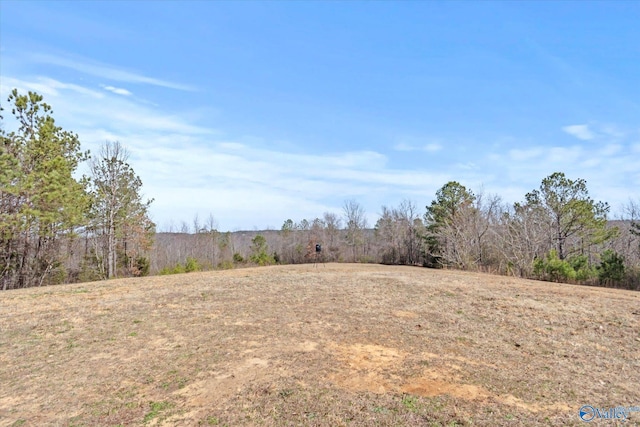 view of local wilderness