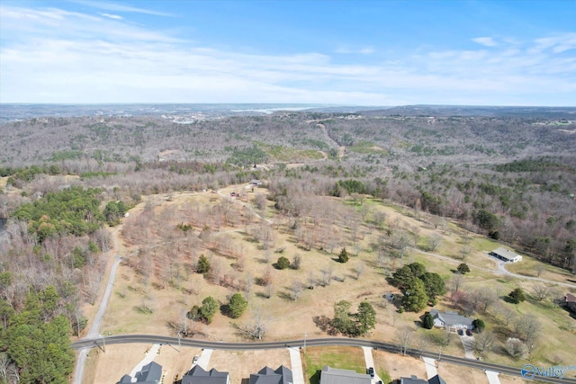 bird's eye view