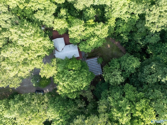 136 Higdon Rd, Falkville, AL 35622 - view of property location