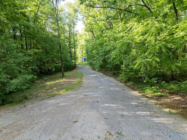 136 Higdon Rd, Falkville, AL 35622 - view of road featuring a view of trees