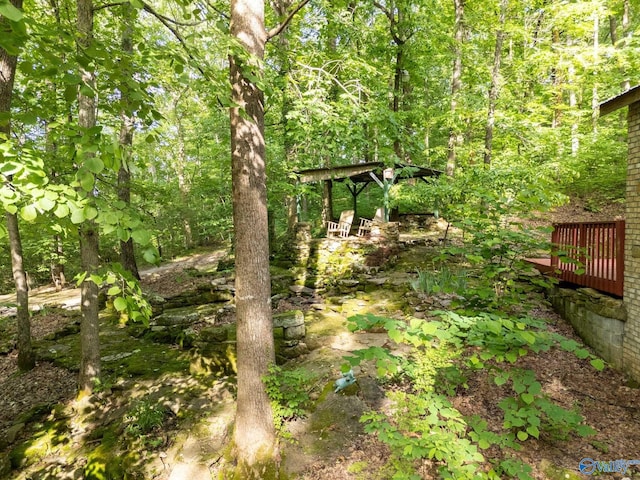 136 Higdon Rd, Falkville, AL 35622 - view of nature