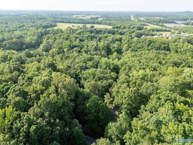 136 Higdon Rd, Falkville, AL 35622 - aerial view of a forest