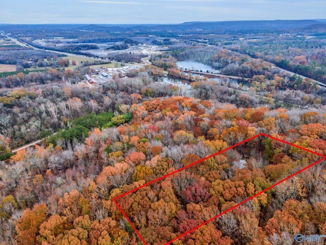 136 Higdon Rd, Falkville, AL 35622 - aerial overview of property's location featuring a forest and property boundaries highlighted