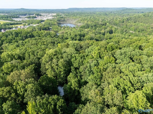 136 Higdon Rd, Falkville, AL 35622 - aerial view of property's location featuring a forest and a nearby body of water