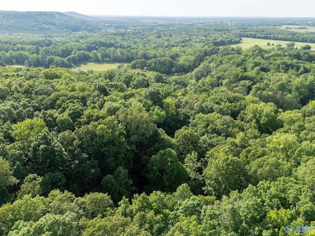 136 Higdon Rd, Falkville, AL 35622 - bird's eye view of a forest