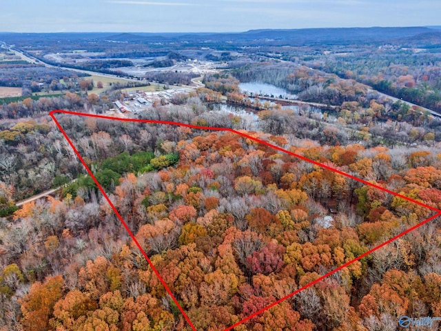 136 Higdon Rd, Falkville, AL 35622 - aerial view of property's location featuring property boundaries highlighted and a heavily wooded area