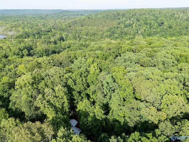 136 Higdon Rd, Falkville, AL 35622 - view of property location with a forest