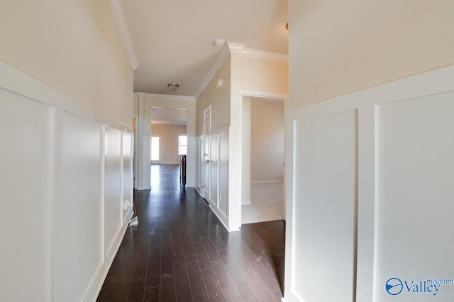 corridor featuring crown molding and dark wood-type flooring