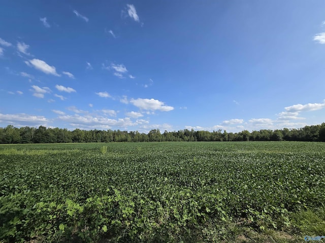 Listing photo 2 for 26ACRES Mulberry Rd, Hazel Green AL 35750