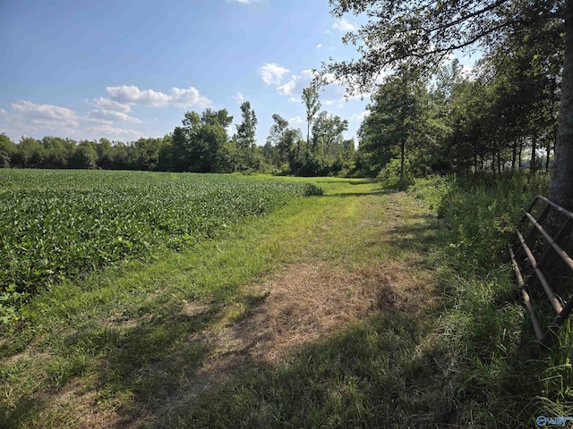 Listing photo 3 for 26ACRES Mulberry Rd, Hazel Green AL 35750