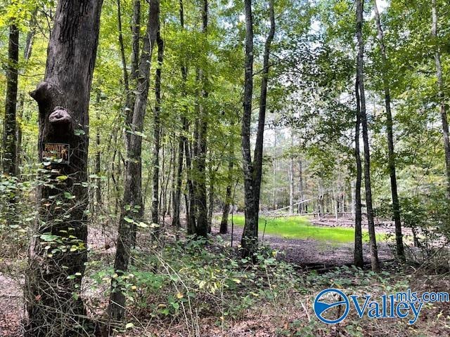 Listing photo 3 for 30ACRES County Road 476 NE, Fort Payne AL 35967