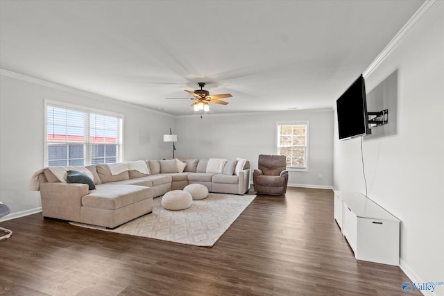 living room featuring crown molding, dark wood-type flooring, plenty of natural light, and ceiling fan