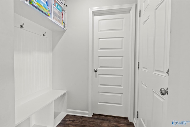 mudroom featuring dark wood-type flooring