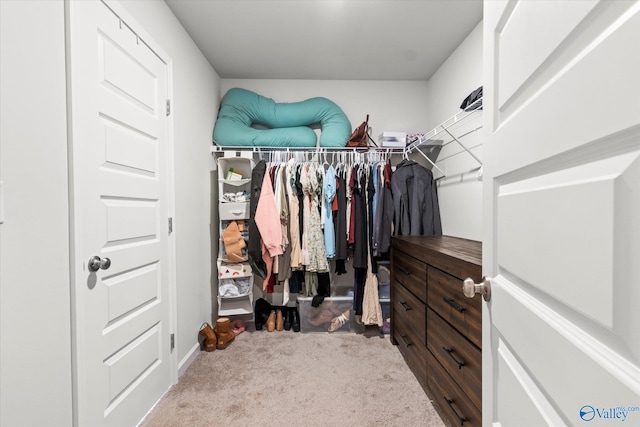 walk in closet with light colored carpet