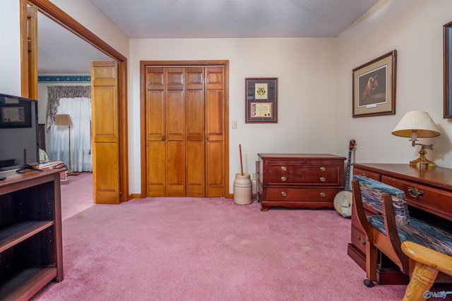 living area featuring a textured ceiling and light colored carpet