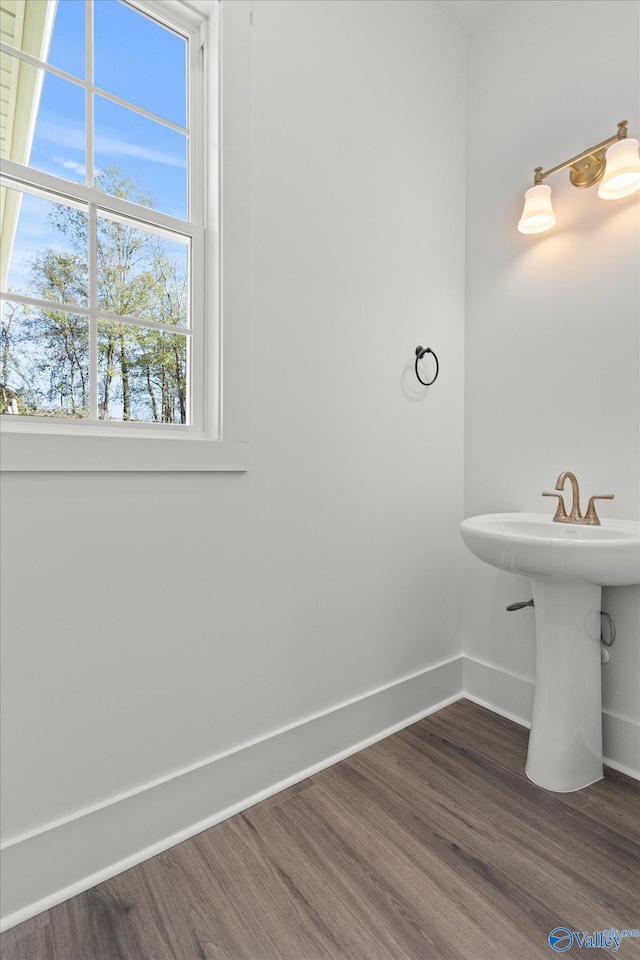 bathroom featuring hardwood / wood-style flooring and sink