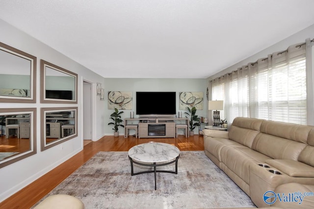 living room featuring wood-type flooring