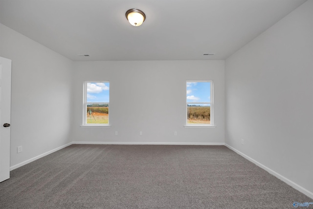 carpeted spare room featuring a healthy amount of sunlight