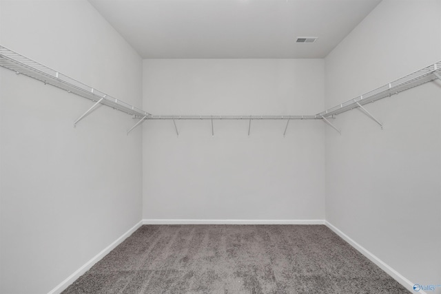 spacious closet featuring carpet floors