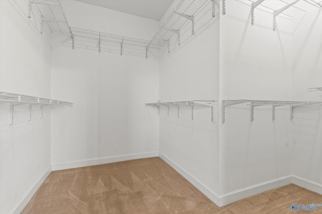 walk in closet with carpet
