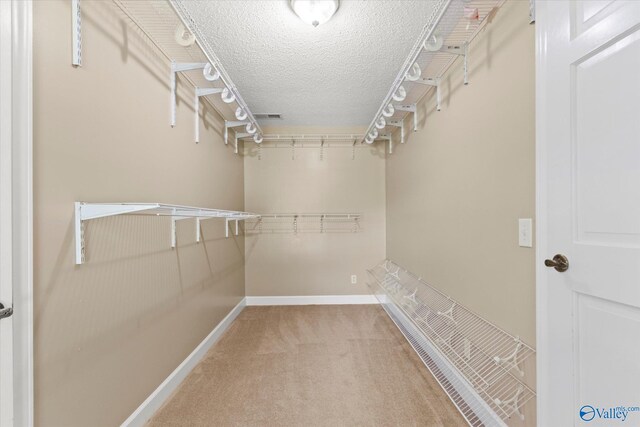 walk in closet featuring carpet flooring